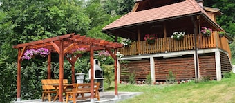 In quiet Vrhpolje, cozy house with 3 bedrooms. With the best view in the region.