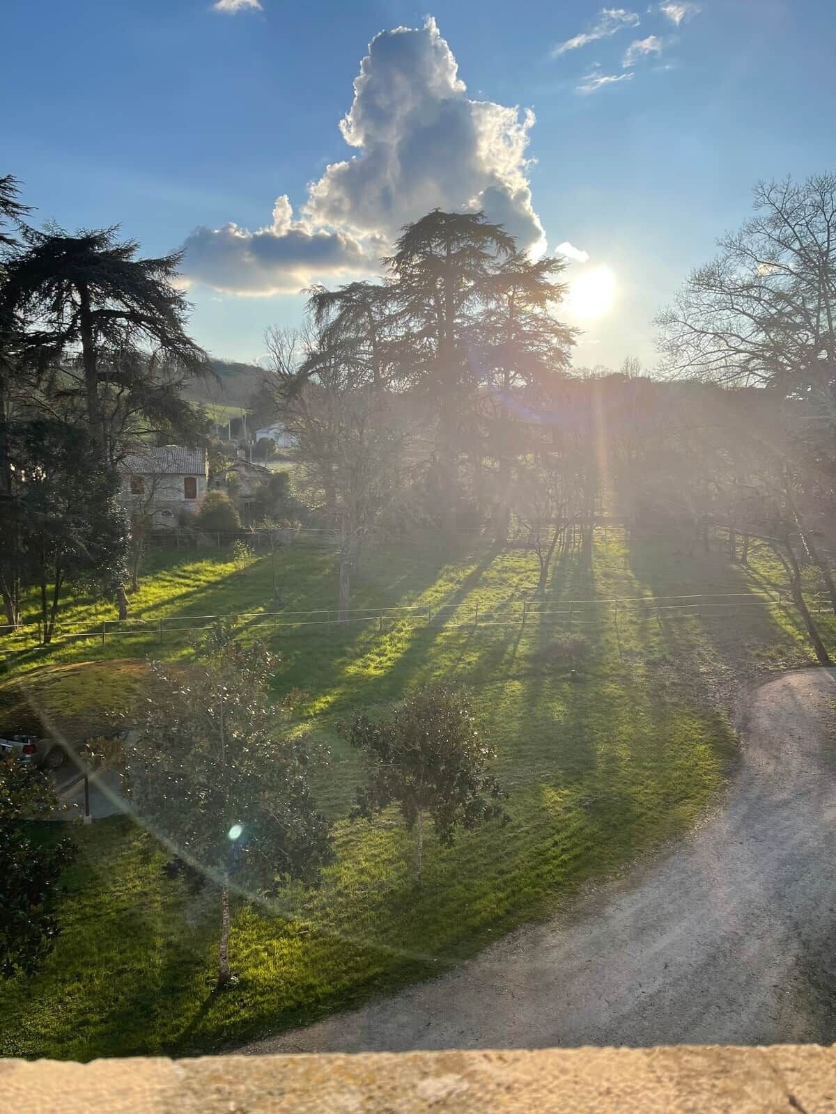 Een landelijk landschap met een onverharde pad, bomen en een huis op de achtergrond.