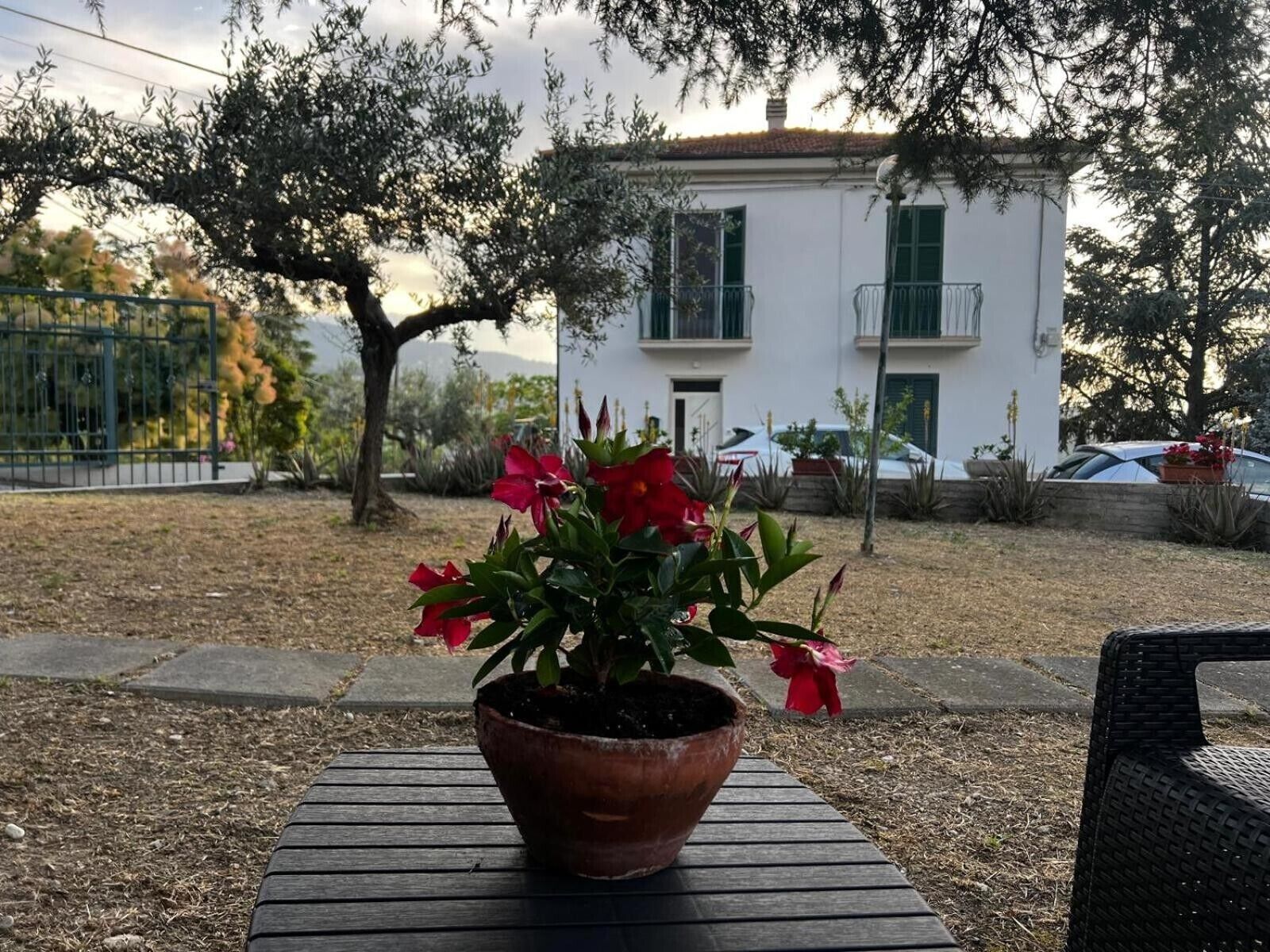 Parco della struttura