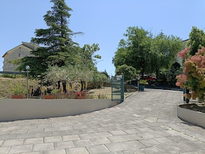 Un camí pavimentat que condueix a una entrada tancada per una reixa, envoltat de plantes en testos i arbres.