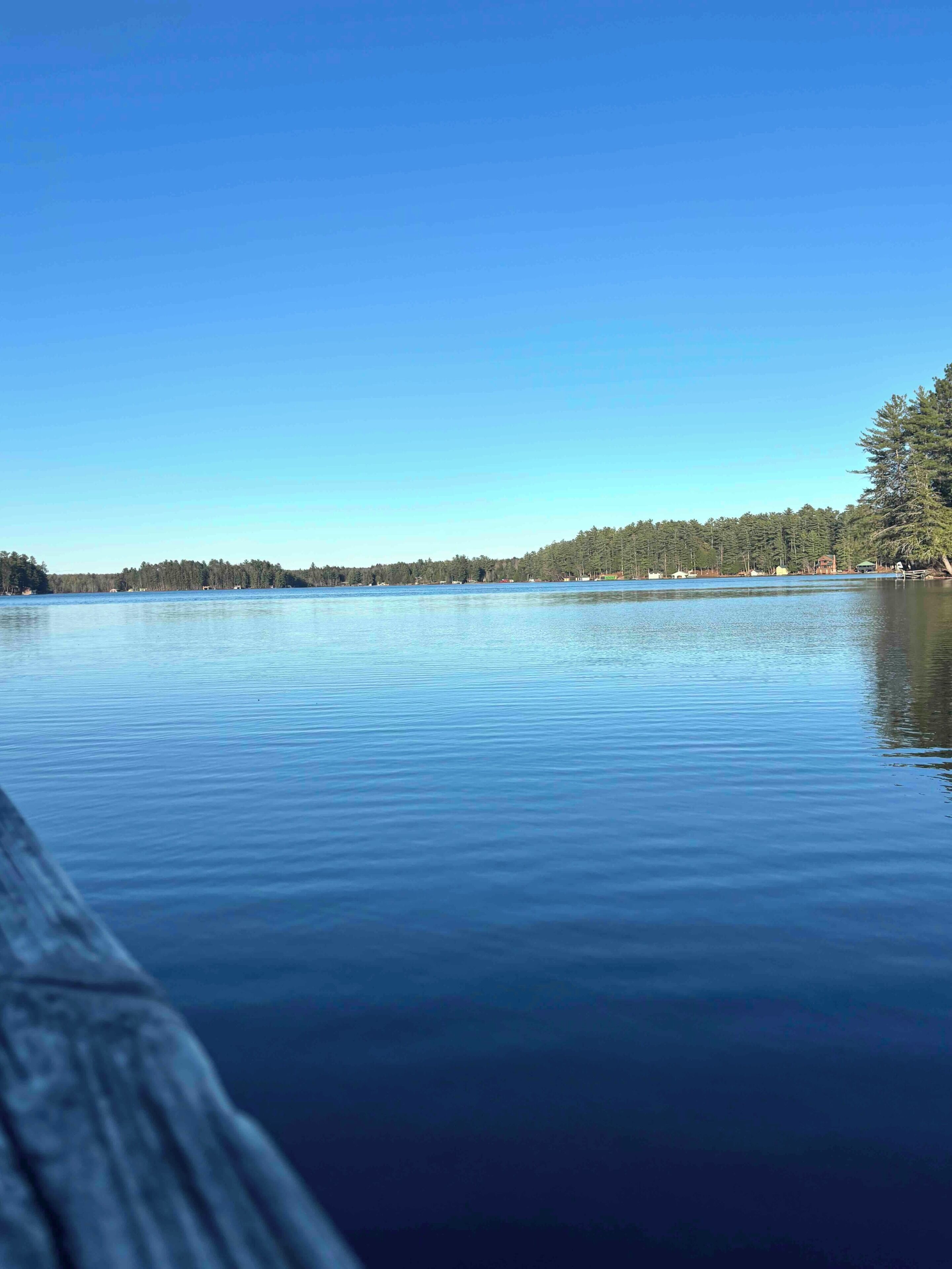 A calm lake with a clear sky, surrounded by dense forest and a wooden dock.