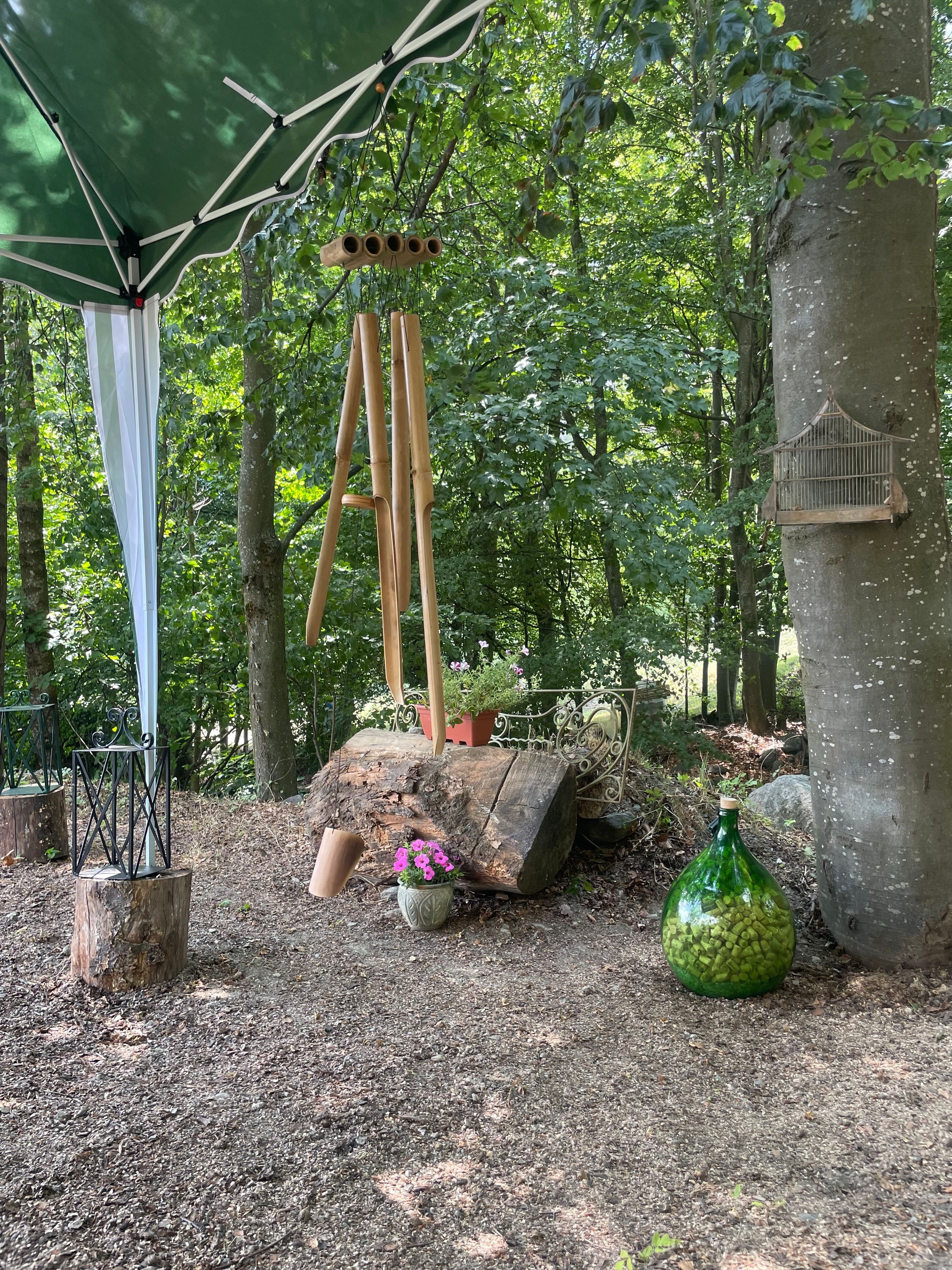 A rustic outdoor setting with a wooden swing, a bird feeder, and a green bottle filled with bird seeds.