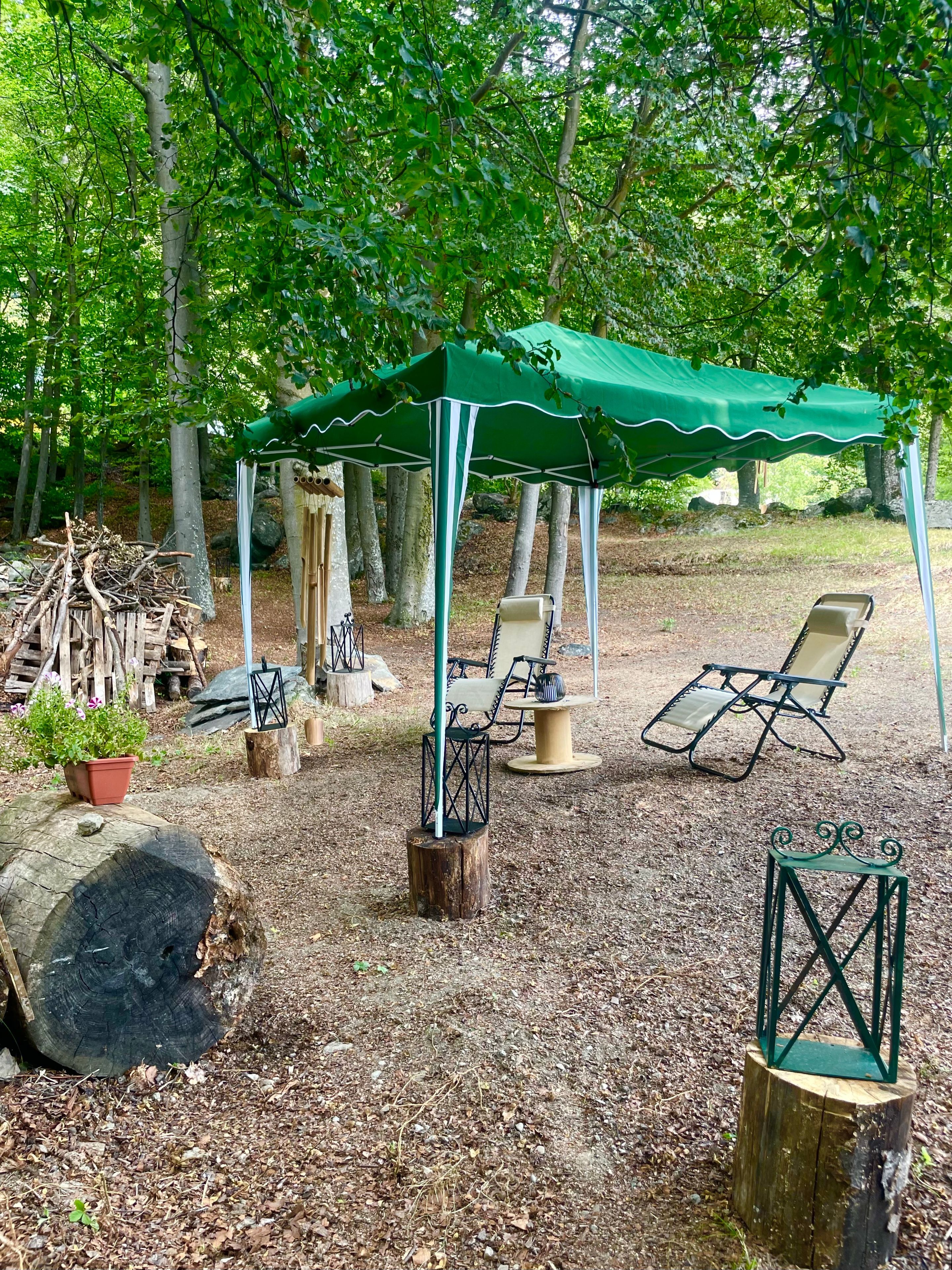 Un espace extérieur aménagé avec des sièges, un auvent verdoyant, des chaises en bois et une table.