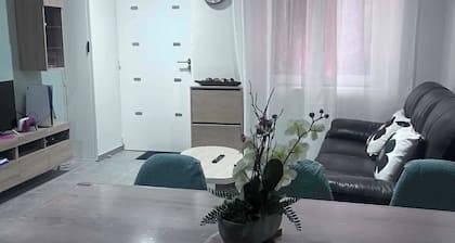 Apartment near the beaches and downtown