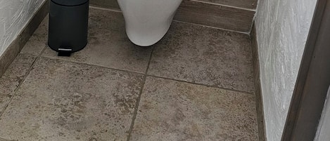 Shower, towels, toilet paper