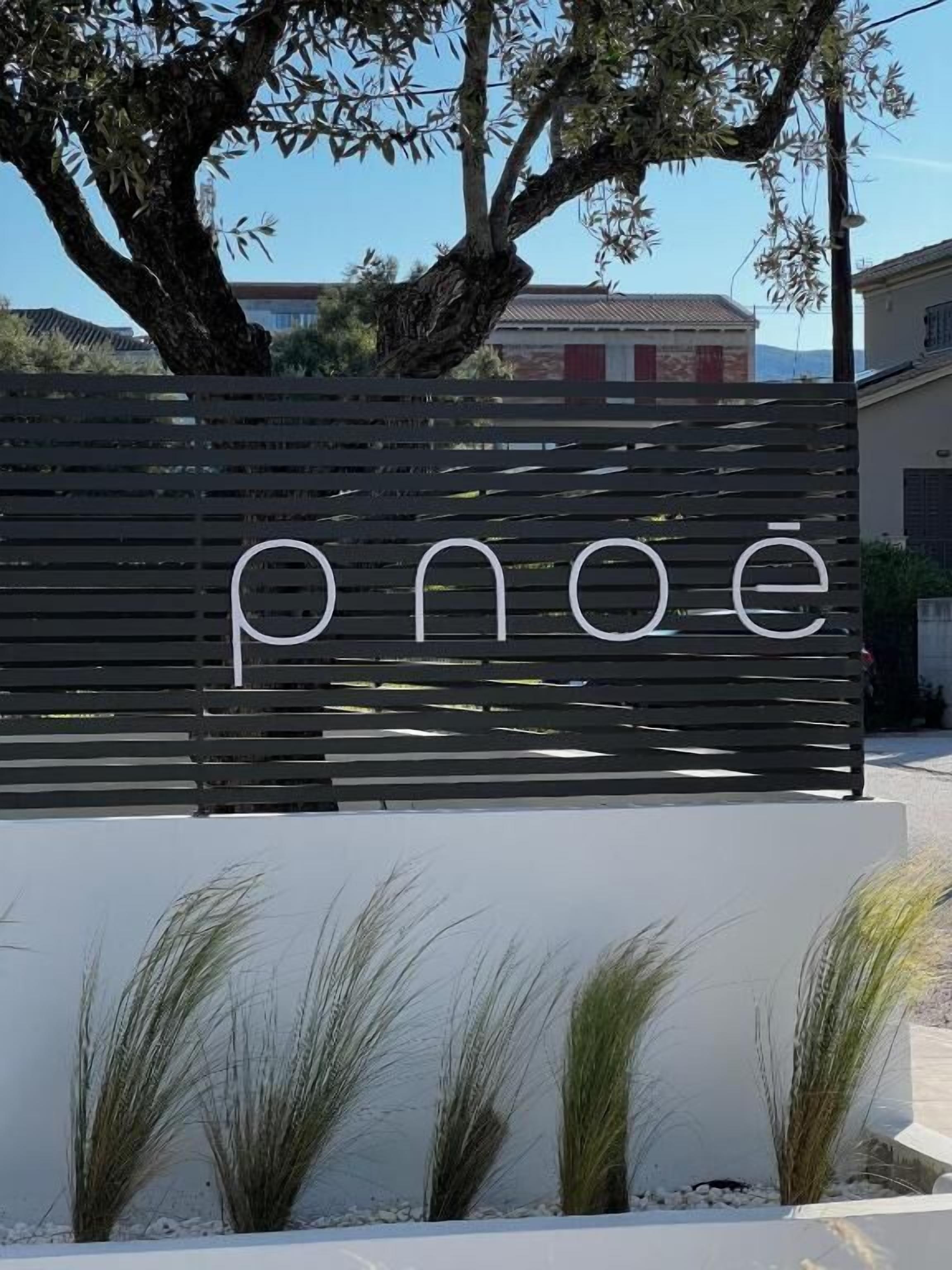 A black slatted wall with the word 'pnae' in white letters, surrounded by small plants.