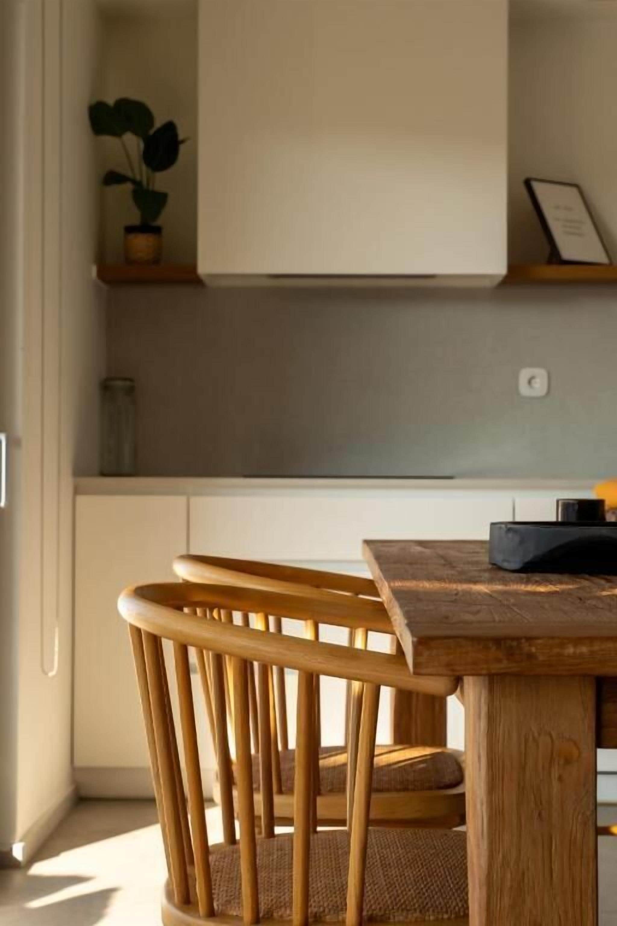 Una mesa de madera con sillas, una planta en maceta sobre una estantería y una encimera de cocina.