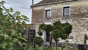 A rustic stone building with a garden featuring a pond, various plants, and a wooden fence. - La clos de la ch'tite d'alsace (Crespin)