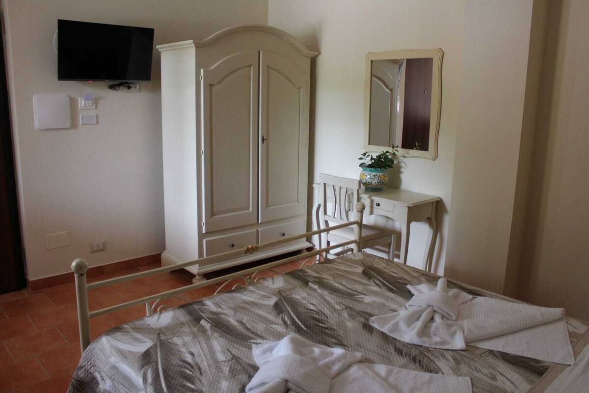 Una camera da letto con un letto, un armadio, una scrivania, uno specchio e una televisione.