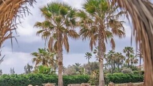 Property grounds - Mambo Private Villa w/ Pool by the Beach (Paralimni)