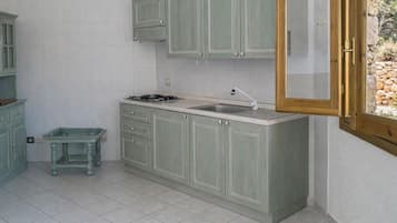 Apartment, Terrasse | Eigene Küche | Kühlschrank, Mikrowelle, Herdplatte, Kochgeschirr/Geschirr/Besteck