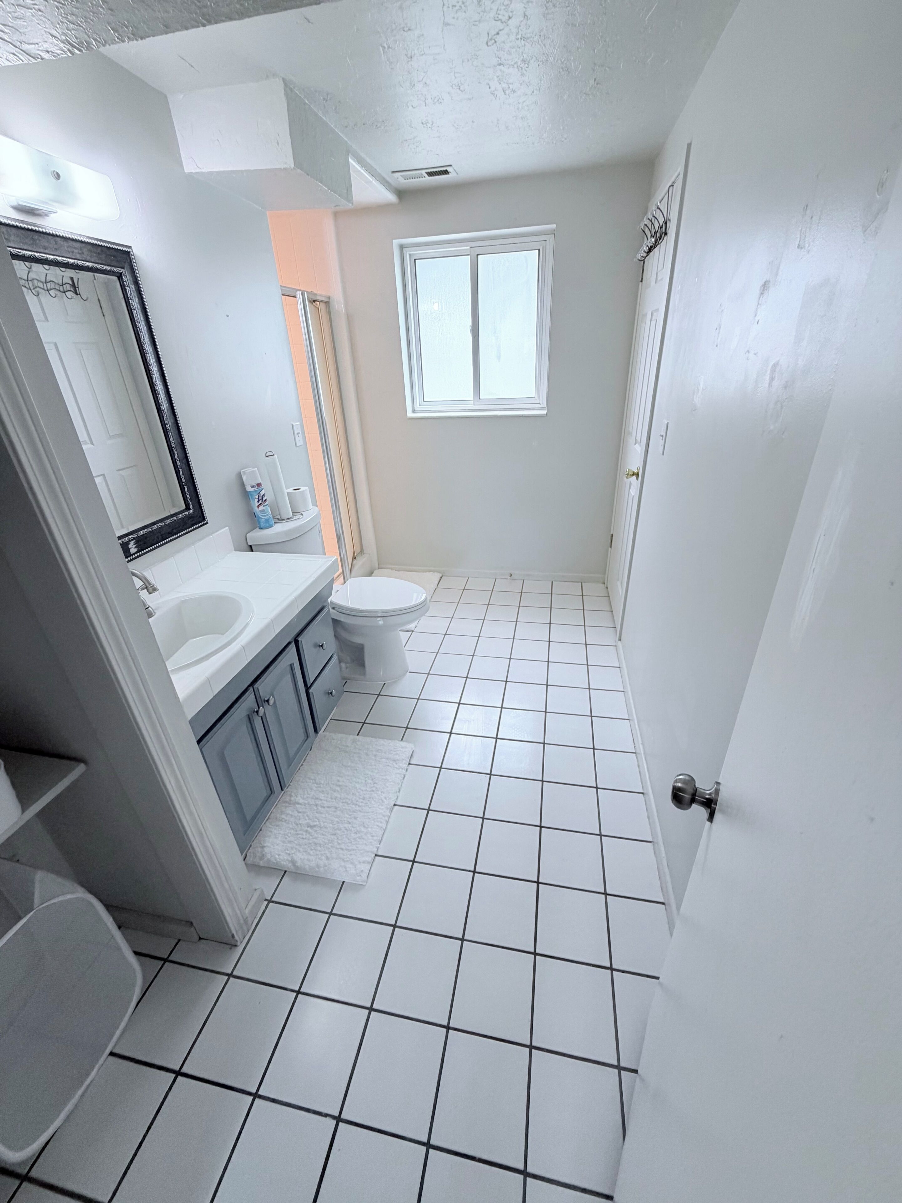 A bathroom with a white sink, toilet, and mirror. There is a window and a door.