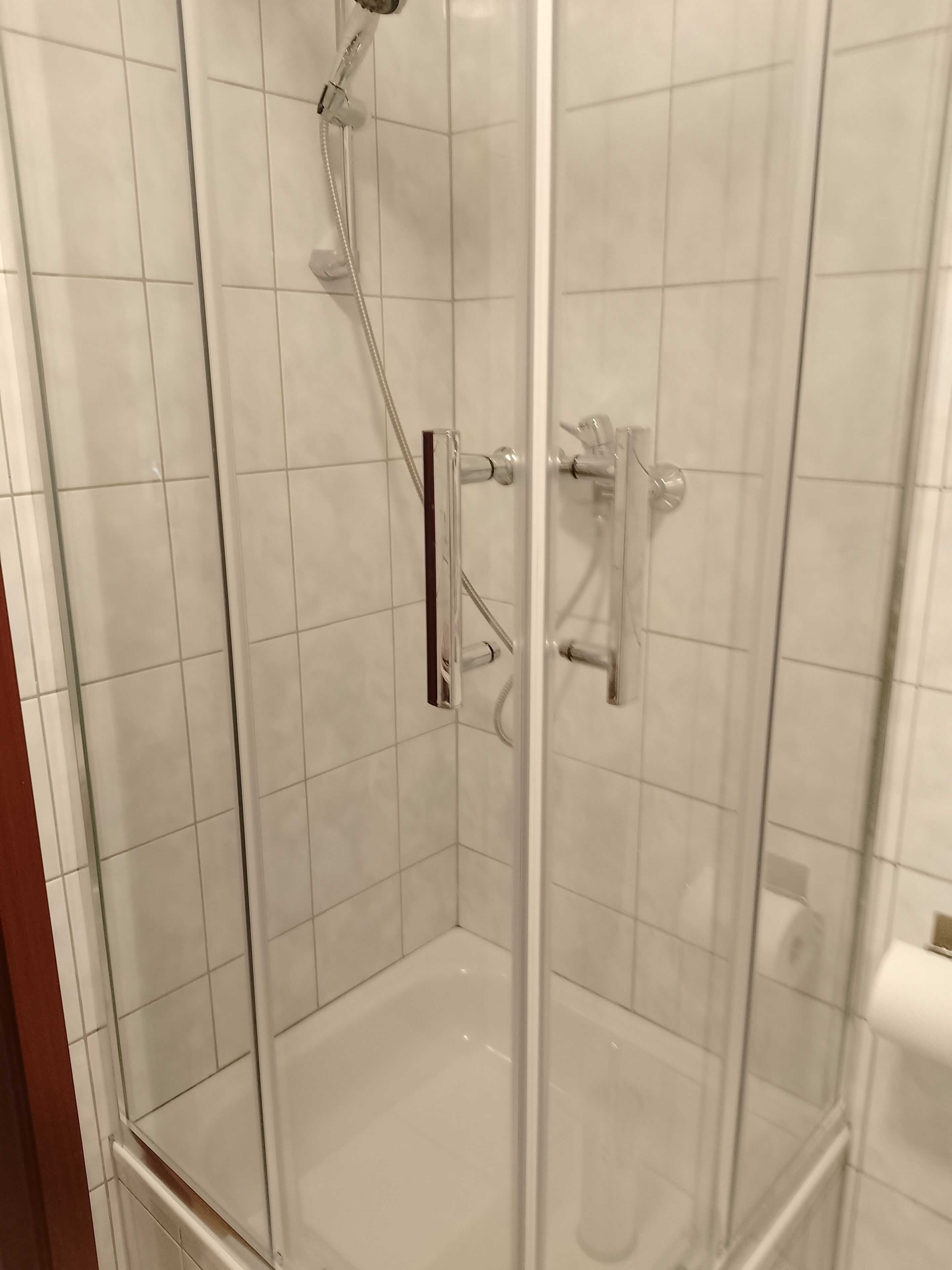 Une cabine de douche fermée par des parois en verre, avec des carreaux blancs, une douchette à main et un robinet fixé au mur.
