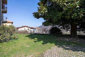 A paved courtyard with a tree, a fence, and a building with a sloped roof in the background.
