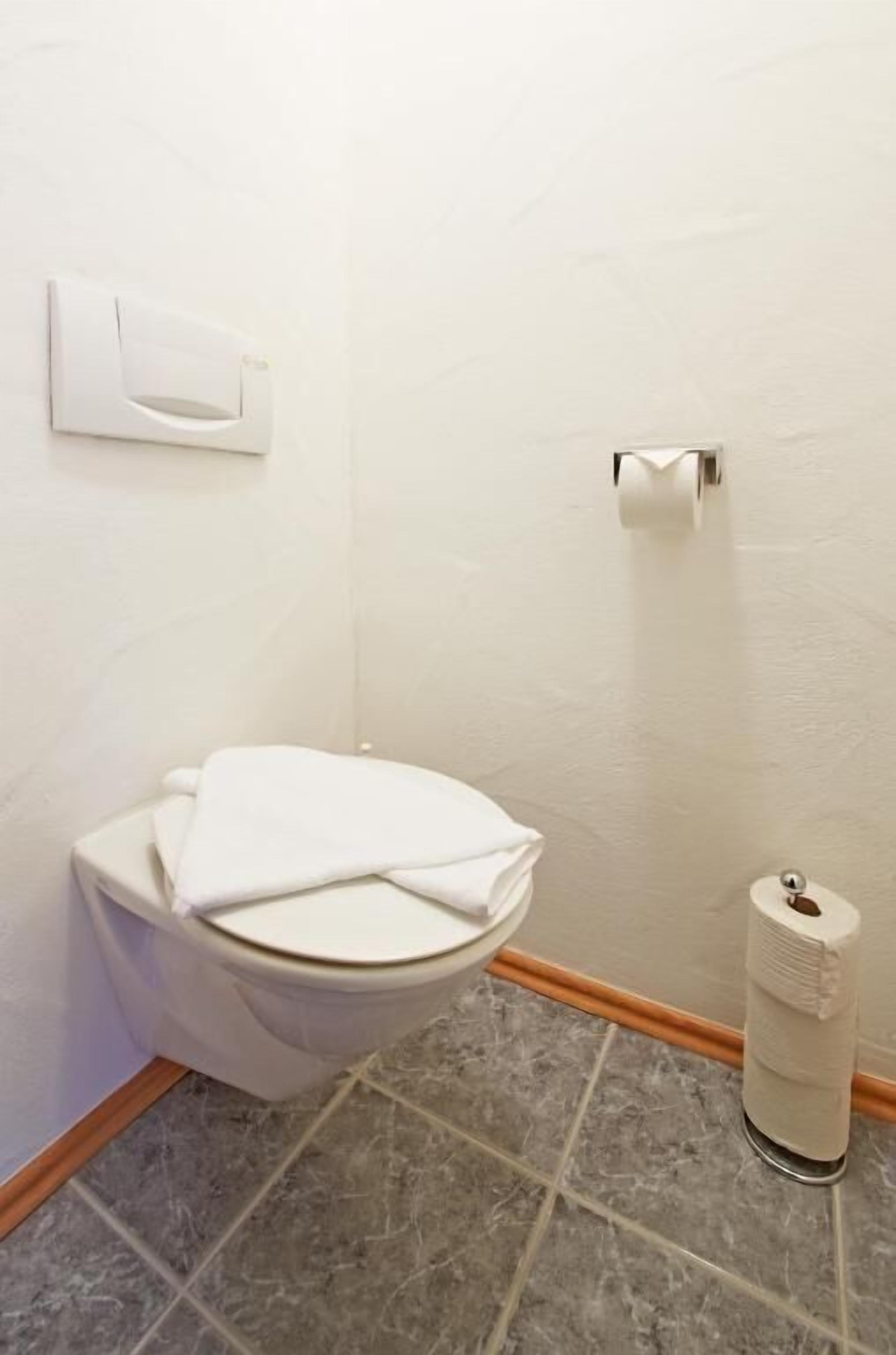 Een toilet met een witte deksel, een toiletrolhouder en een wandbevestigd papierdispenser.