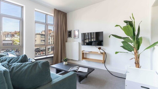 Ein modernes Wohnzimmer mit einer Couch, einem Couchtisch, einem Fernseher, einer Heizung und einer großen Pflanze.