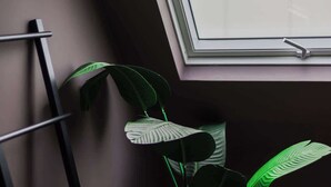 A corner with a potted plant, a towel rack, and a window. - ROMY | Charming Attic Double Room (Antwerpen)