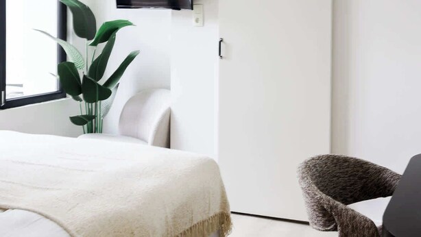 Ein modernes Zimmer mit einem Bett, einem an der Wand montierten Fernseher, einer Pflanze und einem Sessel.