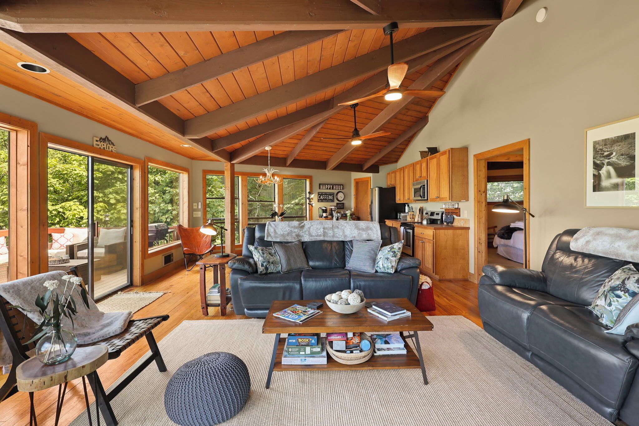 TV, fireplace, books, music library