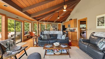 TV, fireplace, books, music library
