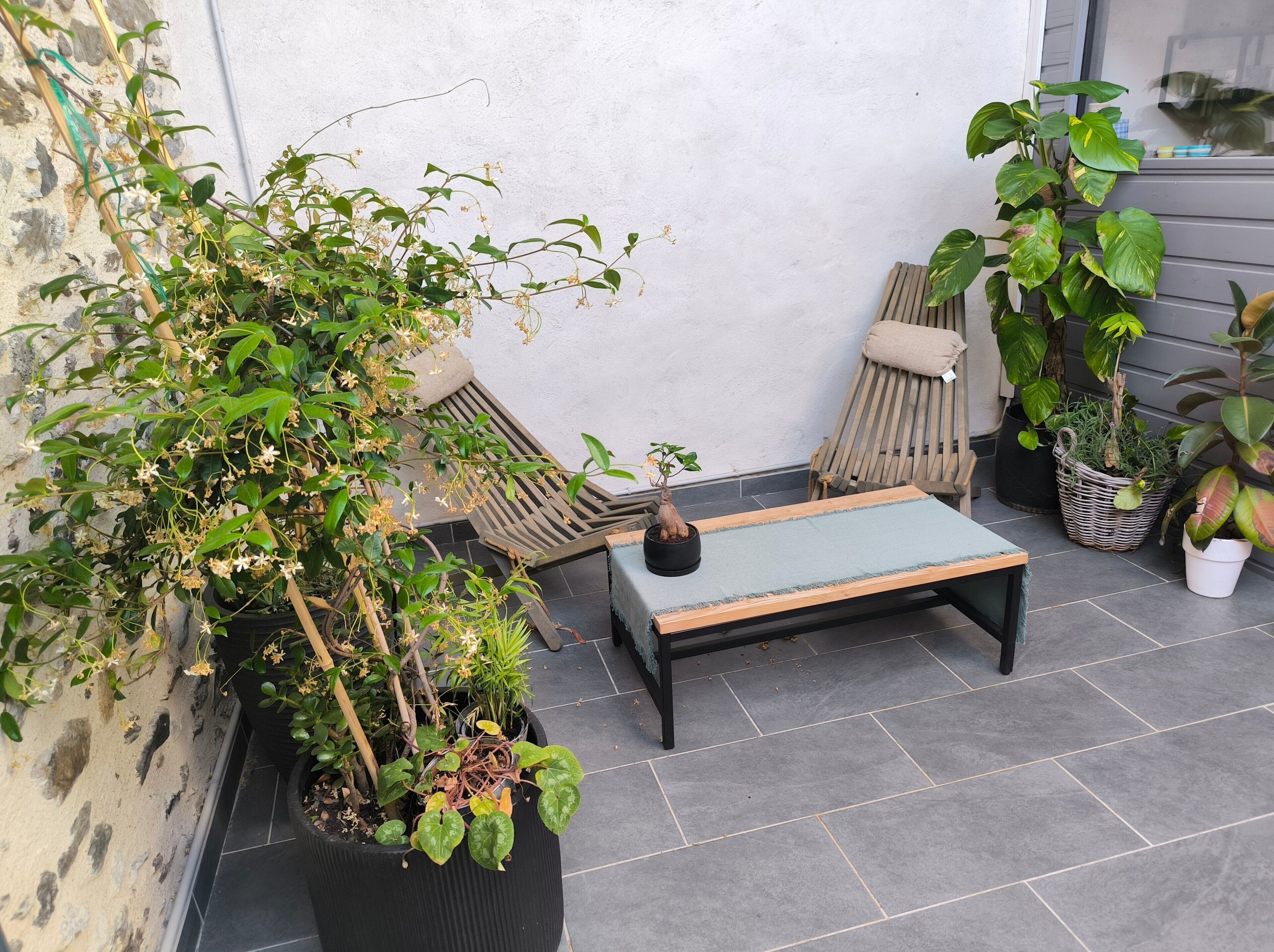 Terras