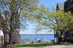 A residential area with a view of a lake, houses, and a tree with yellow flowers.