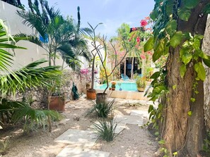 Property grounds - Stunning Art Deco Oasis in Centro Historico (Mérida)