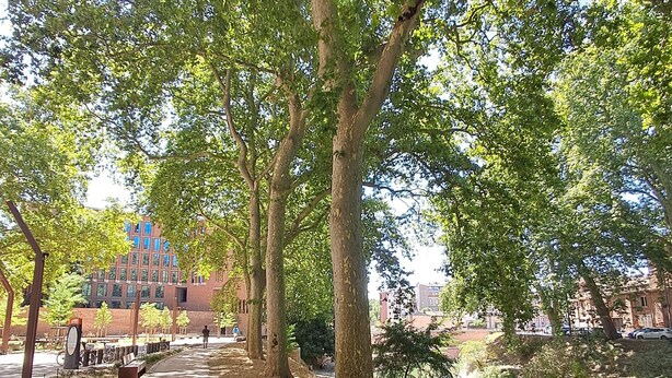 A tree-lined pathway beside a body of water, with a building in the background. - Canal & Garonne Atmosphere – Live Like a True Toulousain (Toulouse)