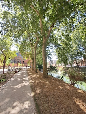 A tree-lined pathway beside a body of water, with a building in the background.