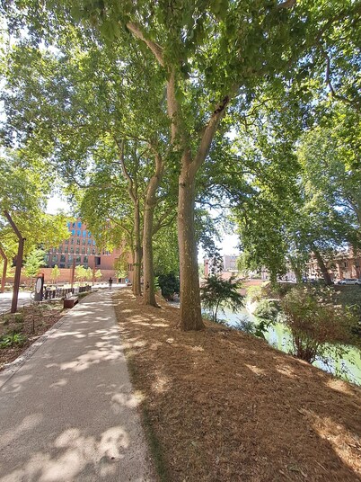 Canal & Garonne Atmosphere – Live Like a True Toulousain
