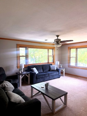 Smart TV, fireplace