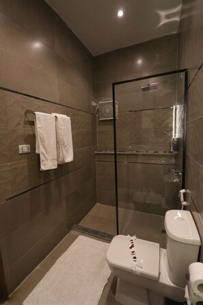 Deluxe Double Room | Bathroom | Shower, rainfall showerhead, free toiletries, hair dryer
