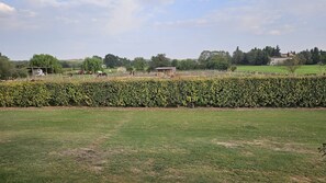A rural landscape with a well-maintained hedge, open fields, and scattered farm buildings.