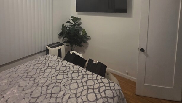 Une chambre à coucher avec un lit, un ventilateur de plafond, une télévision, une porte et une plante.