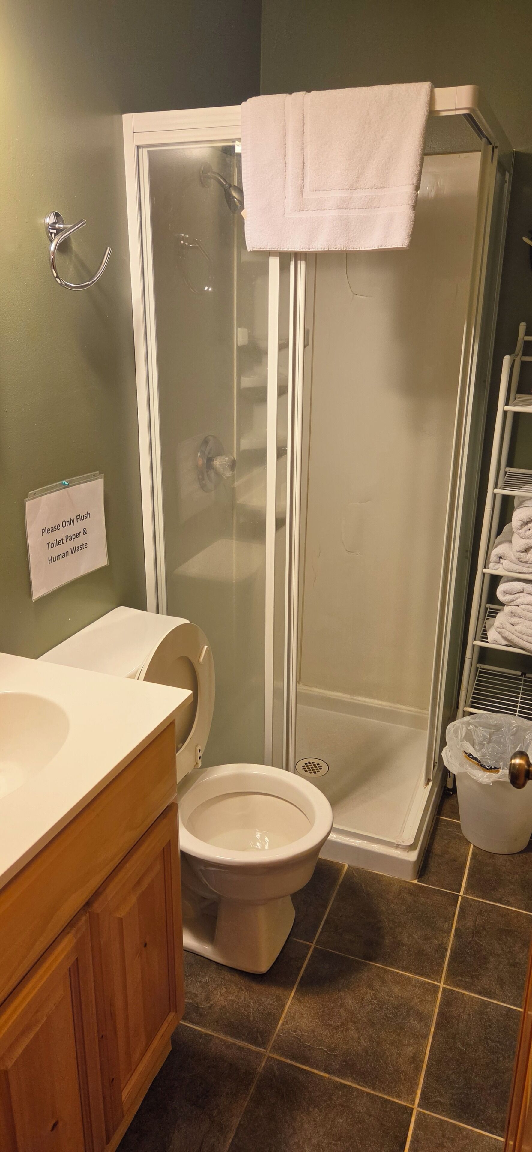 Une salle de bain avec douche, toilettes et lavabo.