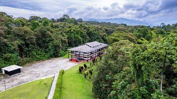 A modern building with a flat roof, surrounded by lush greenery and a clear sky.