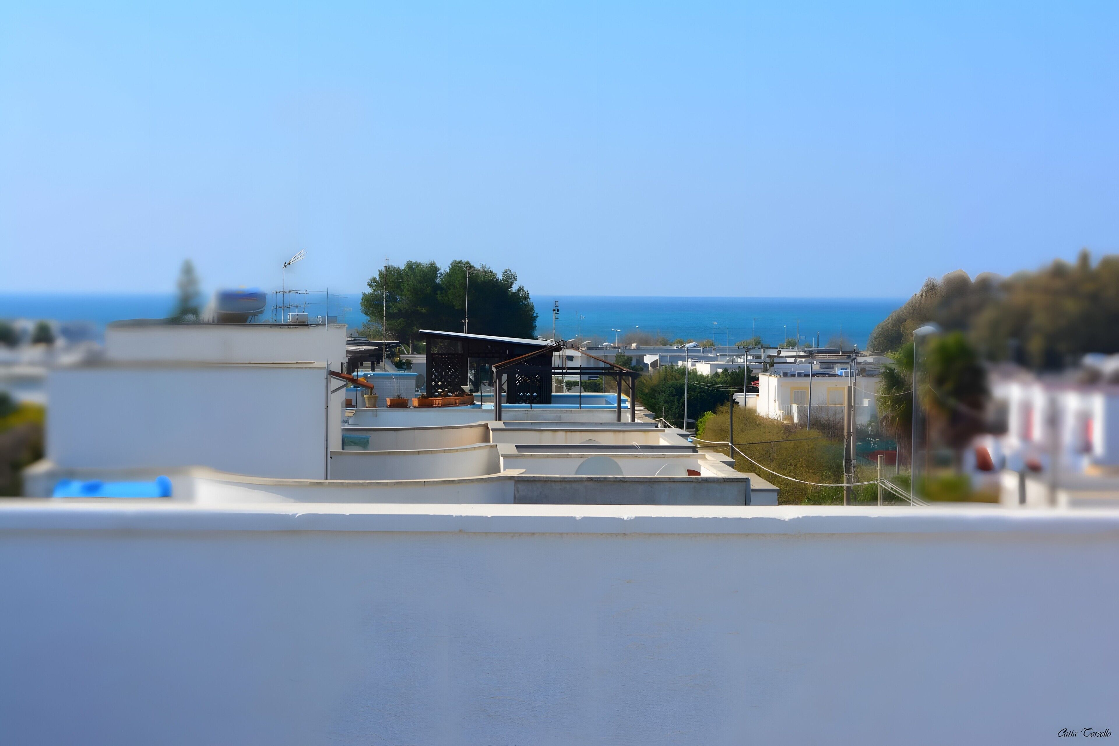 Vista desde la propiedad