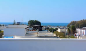 Vista desde la propiedad
