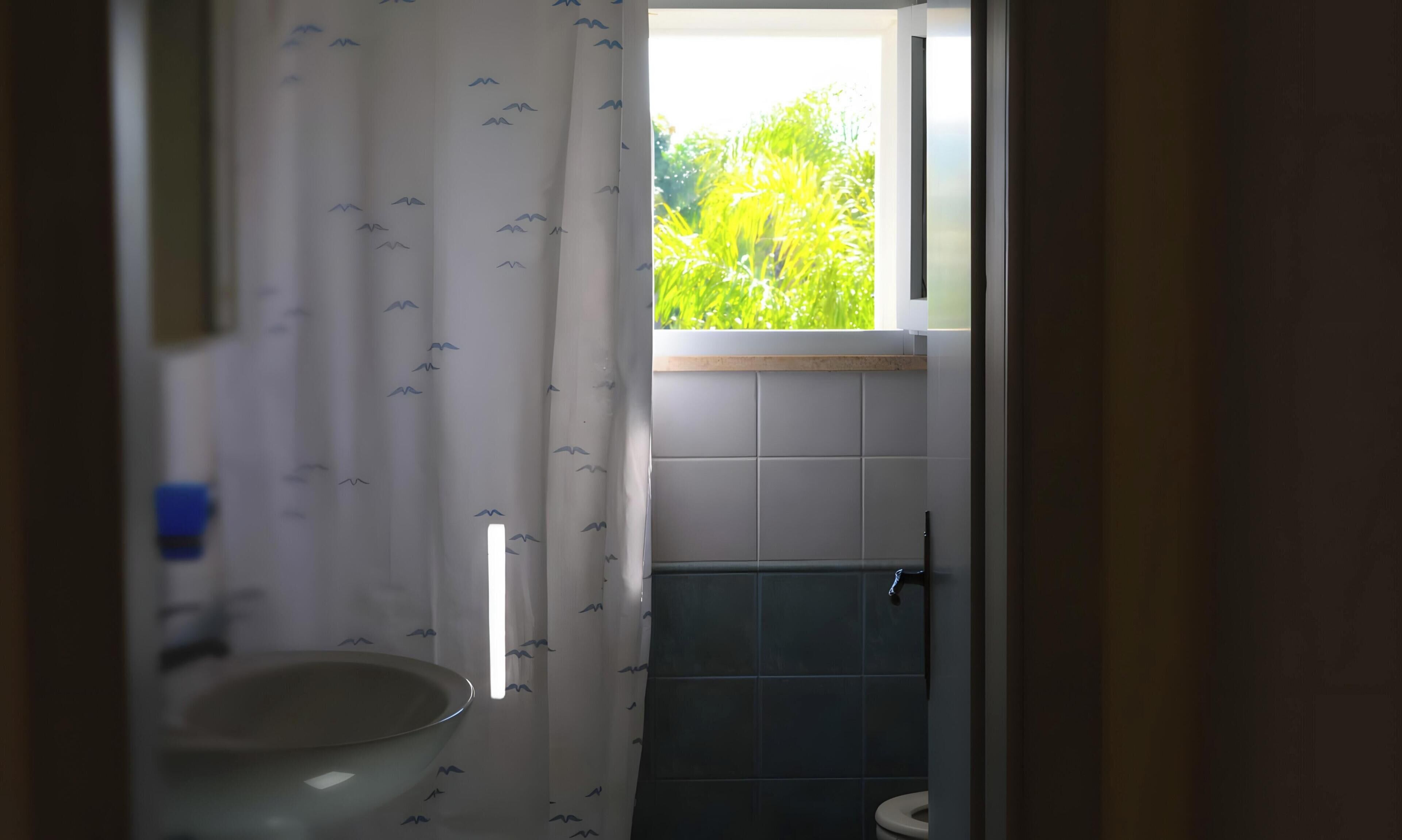 Shower, towels