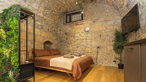Une chambre avec un mur en pierre, un lit, un plancher en bois, une télévision et une plante.