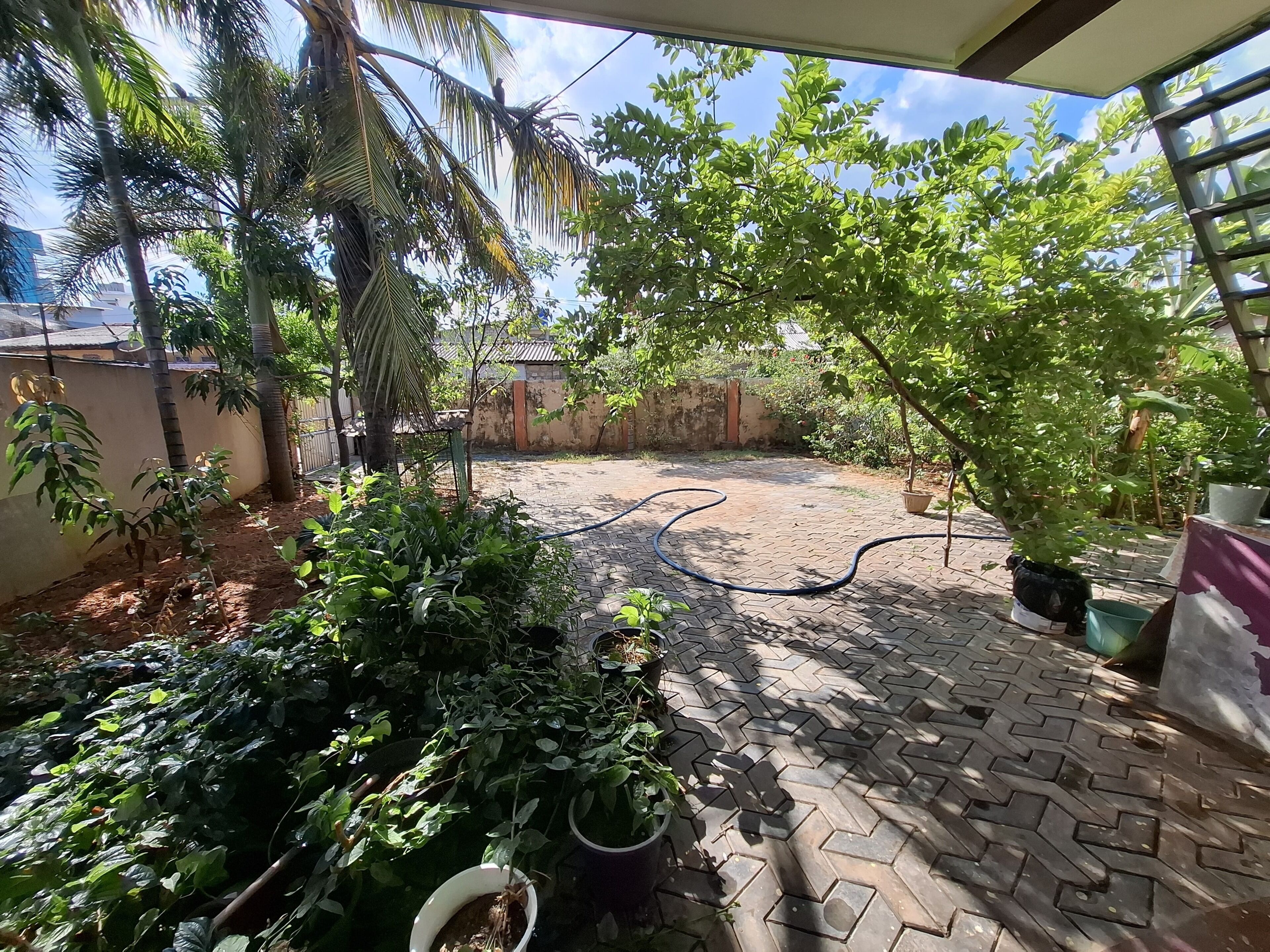 A paved patio area with potted plants and a hose.