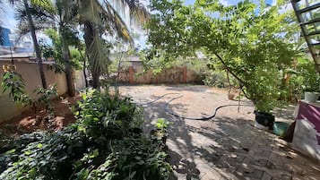 A paved patio area with potted plants and a hose.
