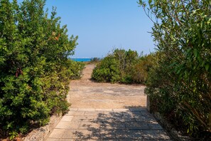 A paved pathway leading to a beach, surrounded by dense greenery. - Nona Dimora Del Pizzo - Gallipoli (Gallipoli)