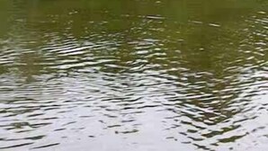 Une personne se trouve dans un bateau sur une étendue d’eau, avec une forêt en arrière-plan.