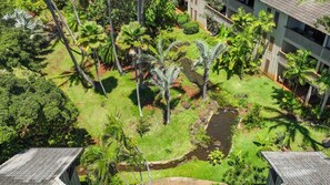 A lush garden with palm trees, a small stream, and a building with a tiled roof. - Poipu Ground-Floor Gem | New A/C, Sleeps 6, Walk to Shopping & Dining (Koloa)