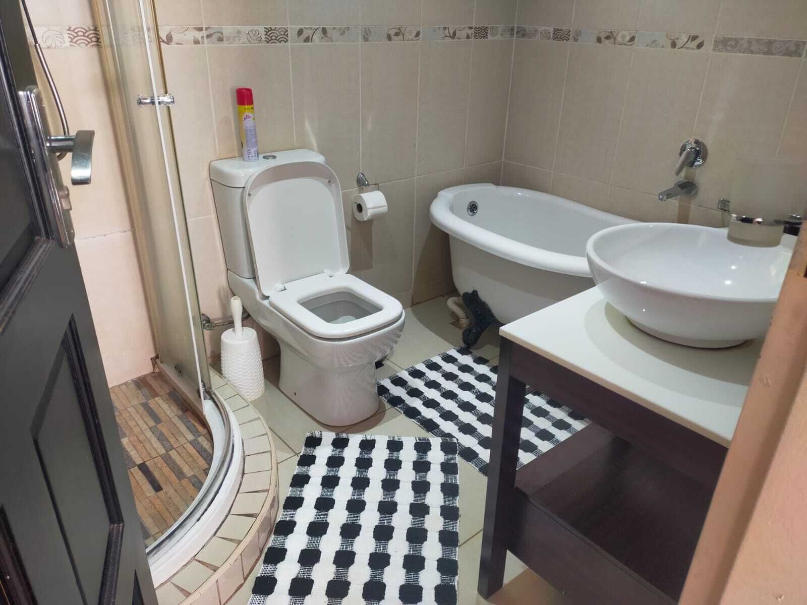 Hair dryer, towels, soap, toilet paper