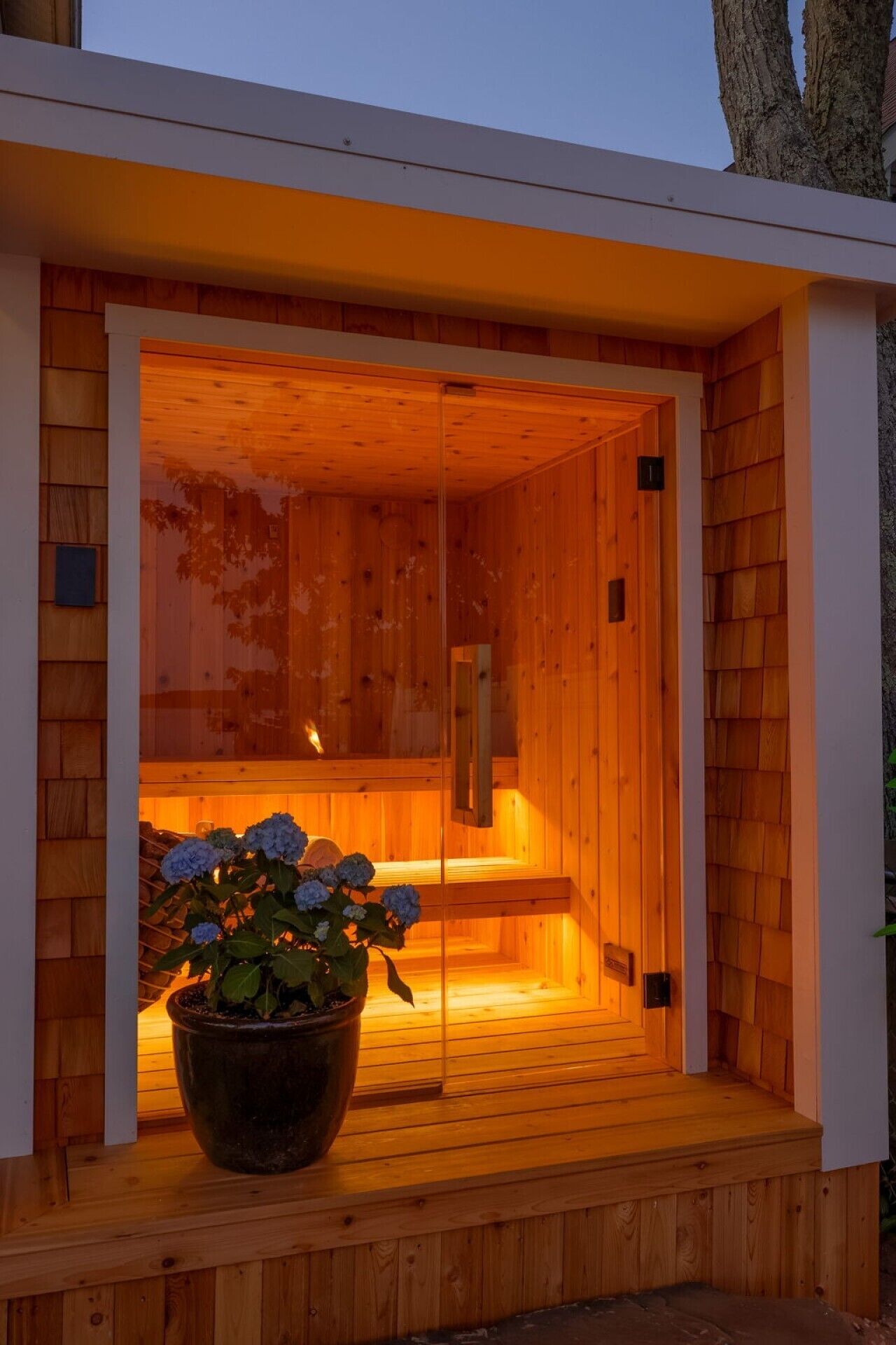 A sauna with a wooden exterior, a glass door, and a potted plant on the entrance.