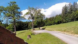 Une route de campagne bordée d’une zone herbeuse et d’arbres.