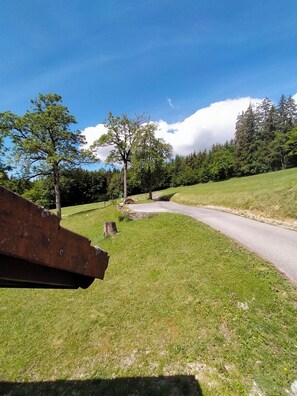 A rural road with a grassy area and trees. - A country house in a quiet location on the edge of the woods. (Viuz-en-Sallaz)