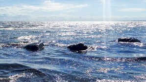 Water met rotsen en een heldere lucht.